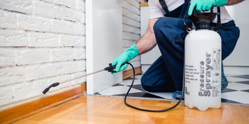Pest Control Service
